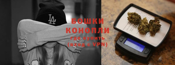 прущие грибы Абдулино