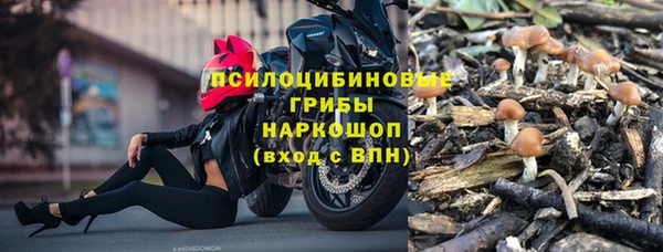 Альфа ПВП Алексин